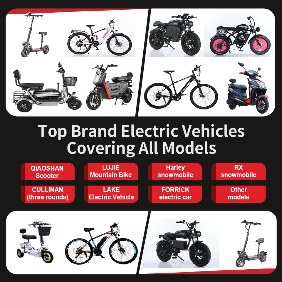 Swift S02 Electric Tricycle rear view